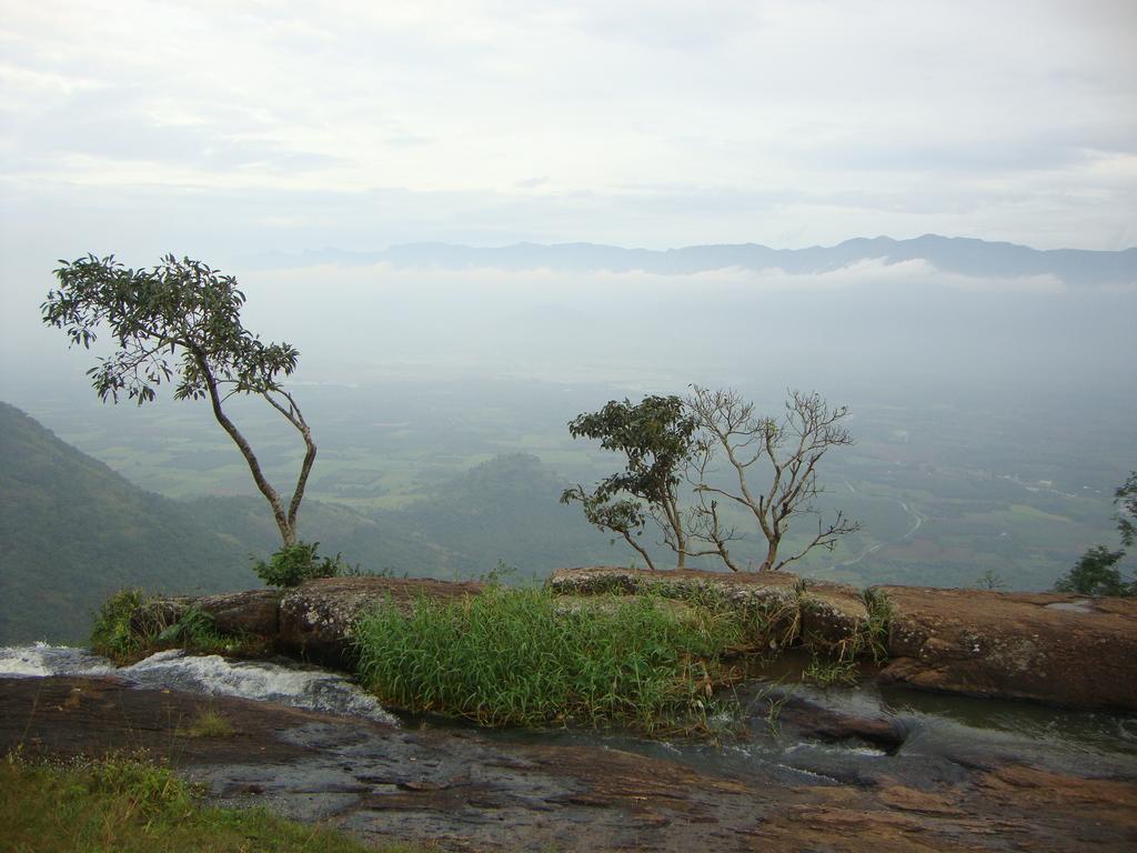Hotel Beaumont Plantation Retreat Thekkady Esterno foto