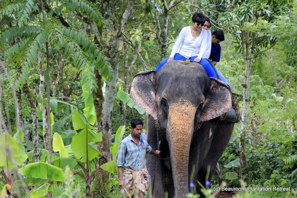 Hotel Beaumont Plantation Retreat Thekkady Esterno foto